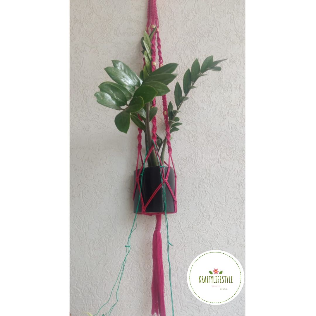 Pink Plant Holder